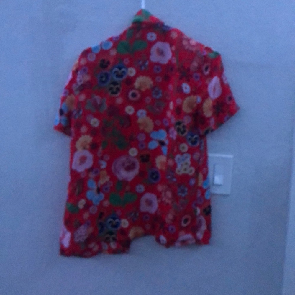 collared button down - Picture 2 of 2